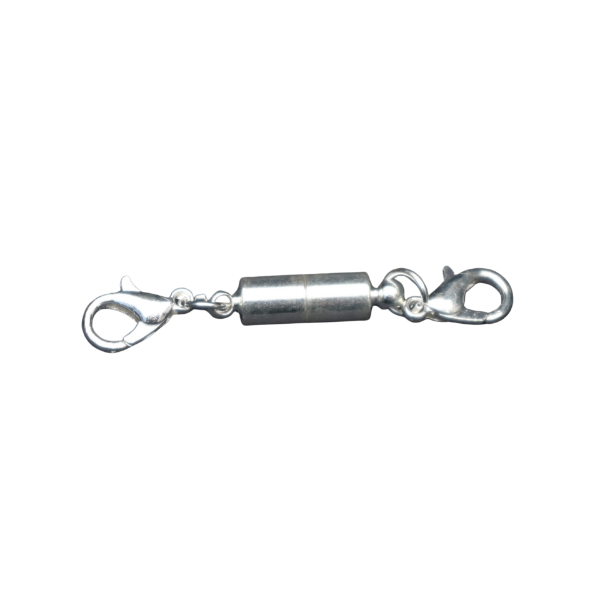 Picture of MAGNET (SILVER) MONIERA