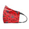Picture of BATIK BORNEO FACEMASK